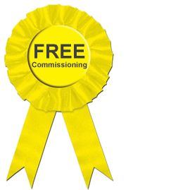BWT Free Commissioning