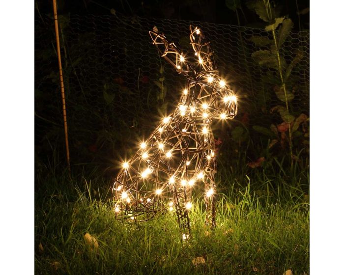 Noma store flood light