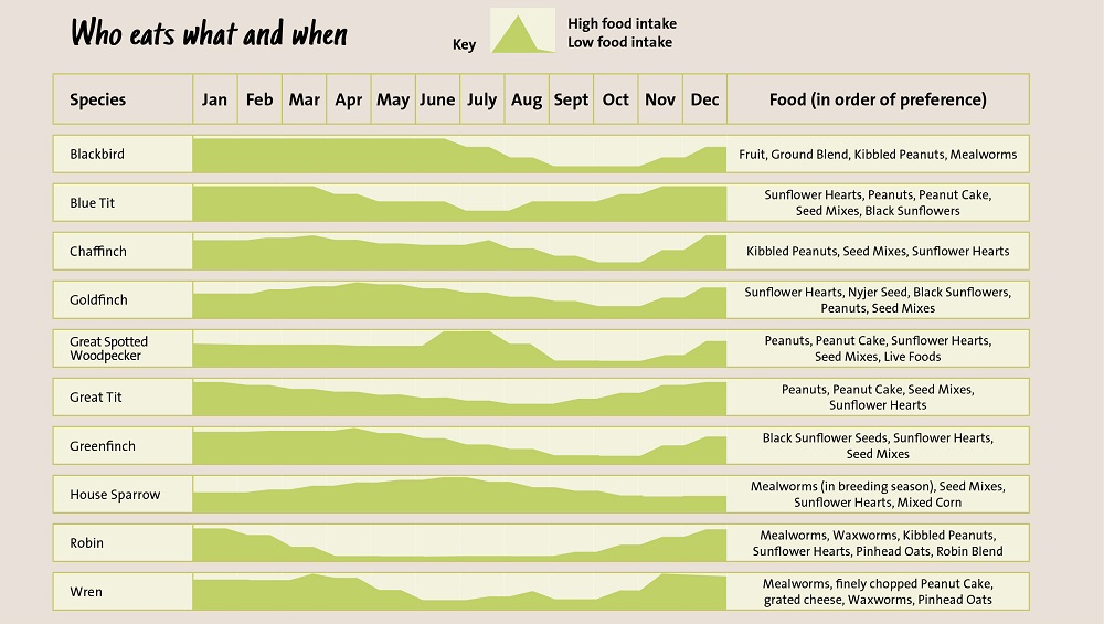 UK Garden Birds and Preferred Foods